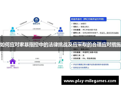 如何应对家暴指控中的法律挑战及应采取的合理应对措施