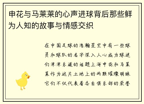 申花与马莱莱的心声进球背后那些鲜为人知的故事与情感交织